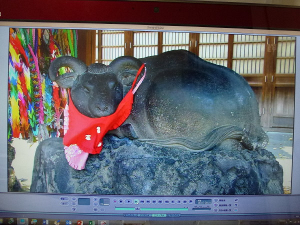 東京スカイツリーが2つ見えるスポット　牛嶋神社（牛島神社）_b0118987_06315019.jpg