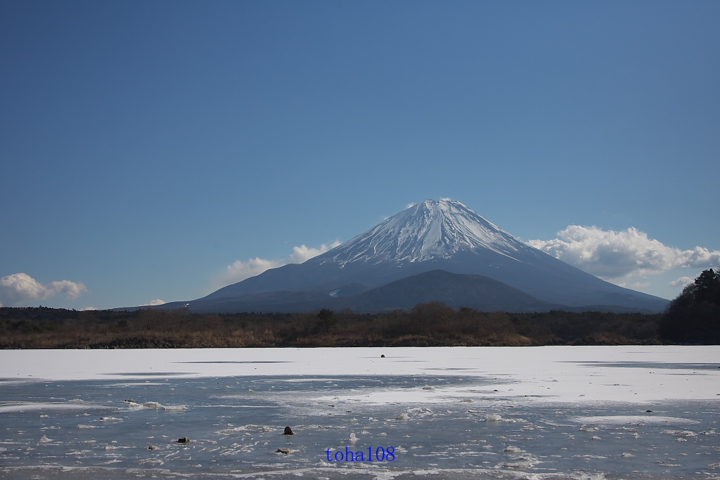 富士山-精進湖から・・・_f0010298_8184090.jpg