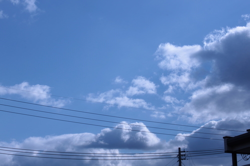 e0182904_9102990.jpg