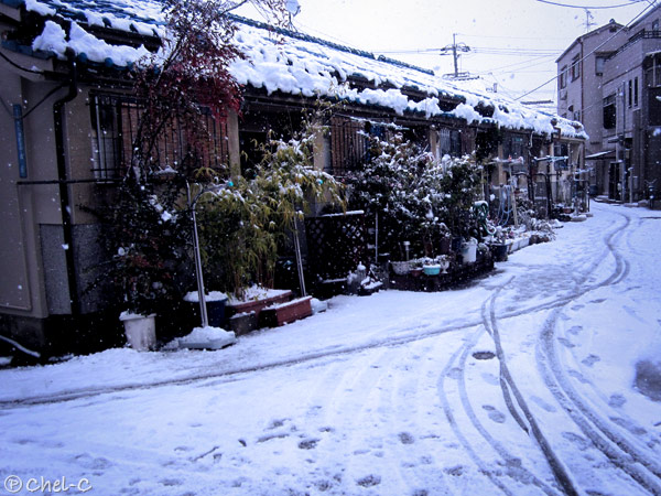 a0154706_731131.jpg