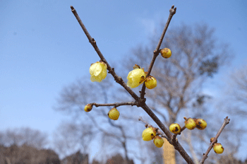 f0232920_1422124.gif