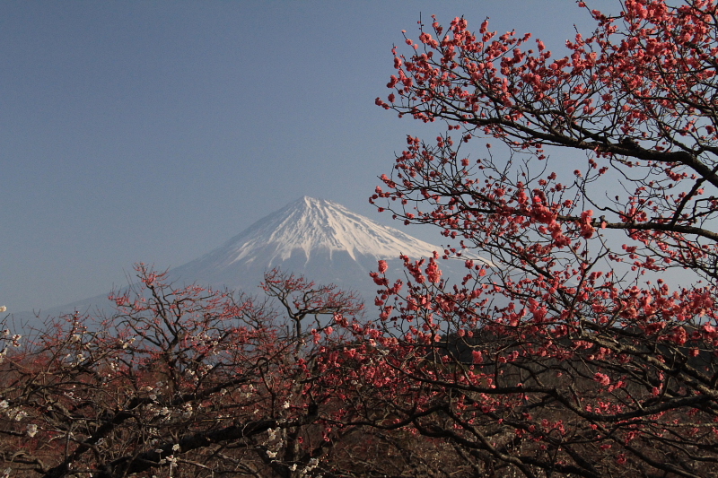 d0240223_66114.jpg
