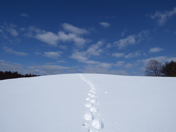 2/24-26青森の現場_f0118332_21321631.jpg