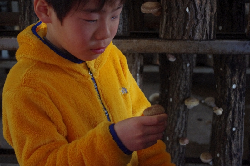吉野へ_c0113733_059549.jpg