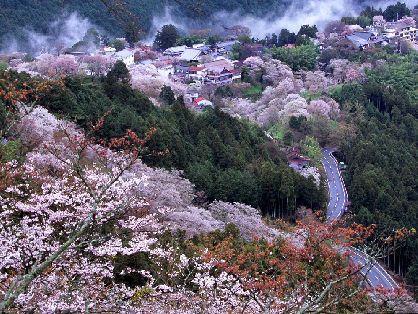 吉野へ_c0113733_1101511.jpg