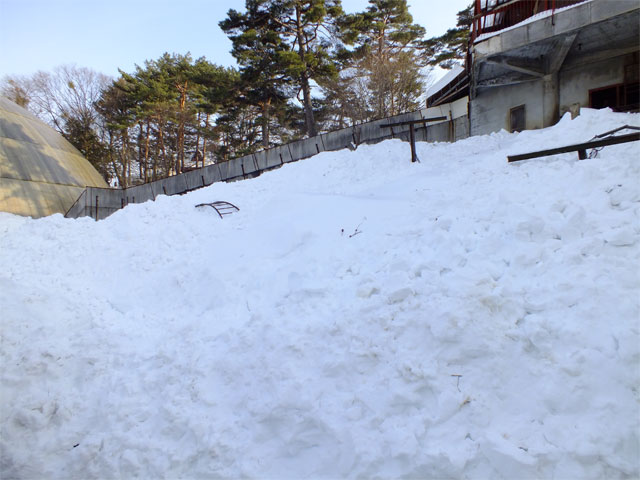 冬の平日_a0179837_1721776.jpg