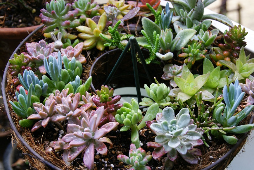 c0298740_7275037.jpg