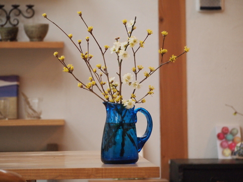 倉敷ガラスと庭の花_d0145345_14944.jpg