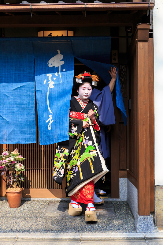 福嶋・紫乃さんお見世出し(祇園甲部)_f0155048_23295158.jpg