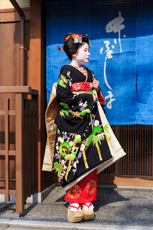 福嶋・紫乃さんお見世出し(祇園甲部)_f0155048_232957100.jpg