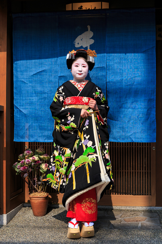 福嶋・紫乃さんお見世出し(祇園甲部)_f0155048_2334022.jpg