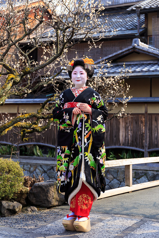 福嶋・紫乃さんお見世出し(祇園甲部)_f0155048_23412670.jpg