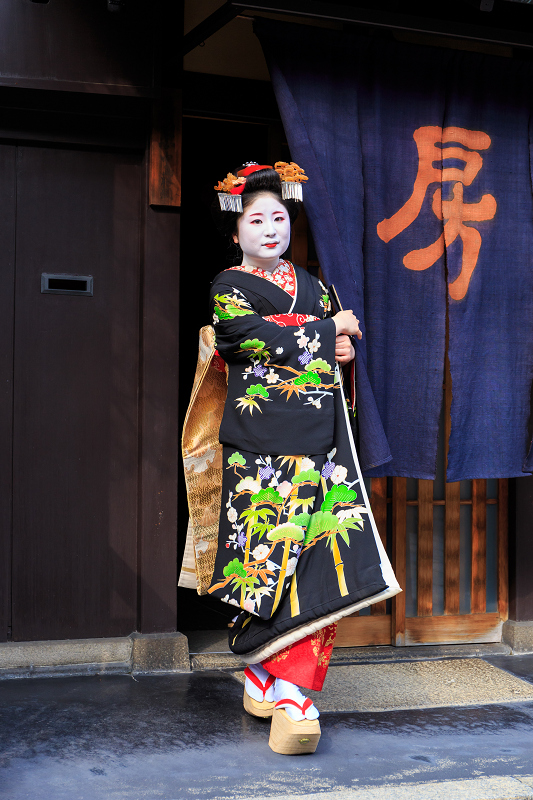 福嶋・紫乃さんお見世出し(祇園甲部)_f0155048_23423381.jpg