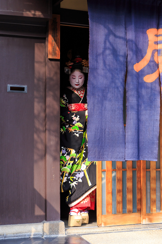 福嶋・紫乃さんお見世出し(祇園甲部)_f0155048_2342893.jpg