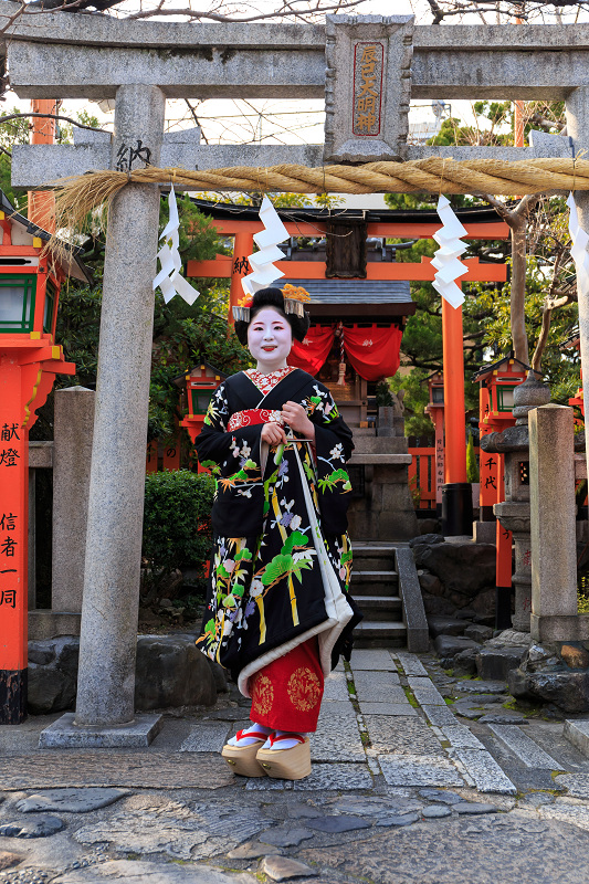 福嶋・紫乃さんお見世出し(祇園甲部)_f0155048_2344371.jpg