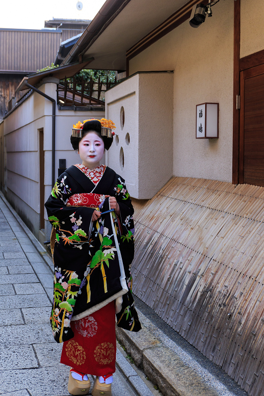 福嶋・紫乃さんお見世出し(祇園甲部)_f0155048_2345518.jpg