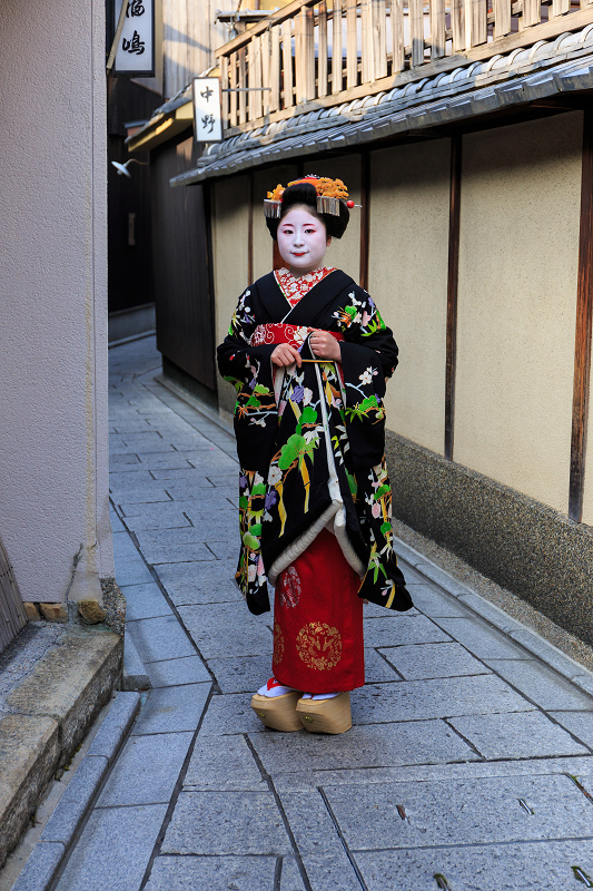 福嶋・紫乃さんお見世出し(祇園甲部)_f0155048_2345830.jpg