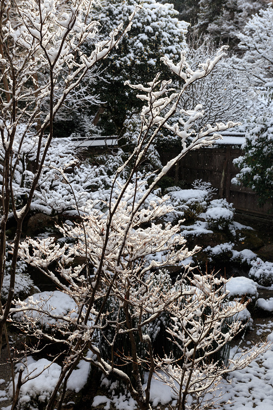 鶴亀庭園・宝楽園の雪景色（宝泉院・後編）_f0155048_749587.jpg