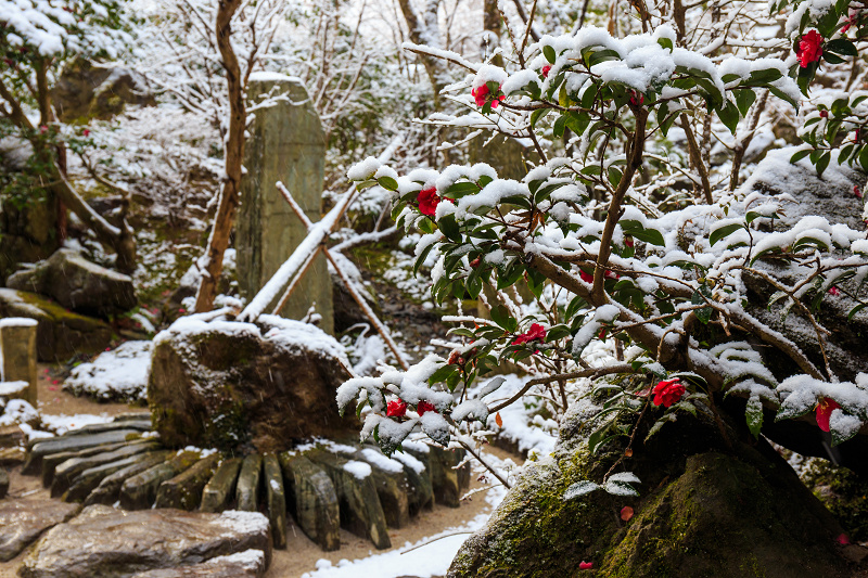 鶴亀庭園・宝楽園の雪景色（宝泉院・後編）_f0155048_7503373.jpg