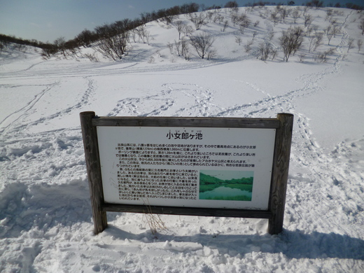 比良山系　天空の白き登山道（その2）_d0231858_17393853.jpg