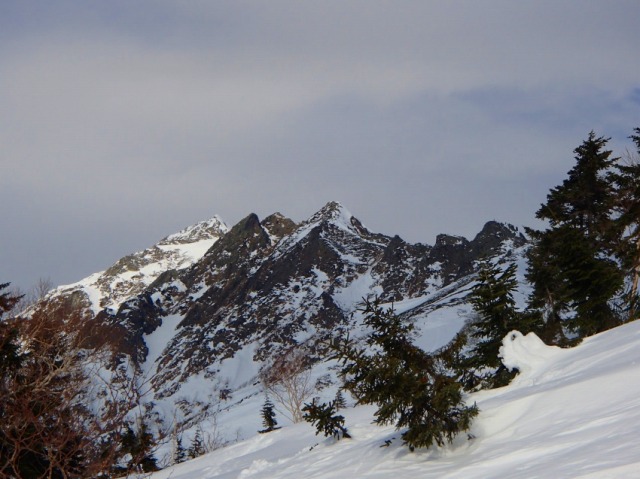 c0219866_93288.jpg