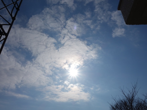 c0265773_1718256.jpg