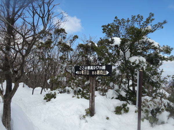 c0066176_05062.jpg