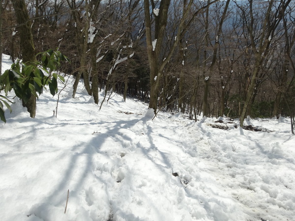 c0066176_11628.jpg