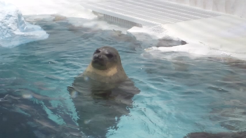 f0200477_0371816.jpg