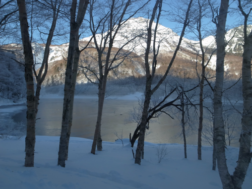 e0271890_15361469.png