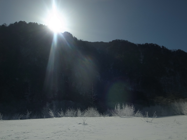 e0271890_16151616.png