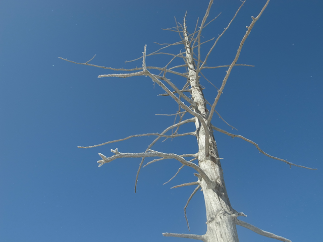 e0271890_16153494.png