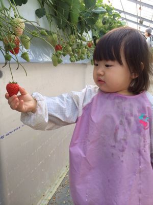 a0275993_10372566.jpg