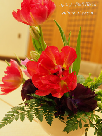 春花登場です_d0144095_23113547.jpg