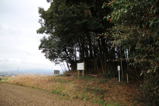 c0129498_01244522.jpg
