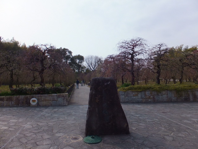a0271502_1134564.jpg
