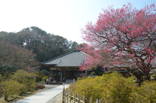 b0301412_18401861.jpg