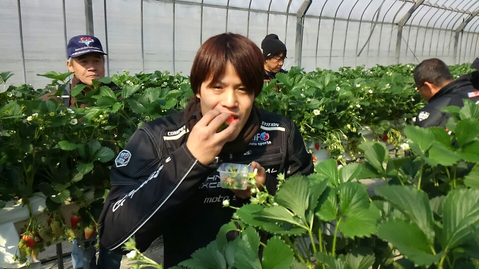 イチゴ狩りパートⅡ_a0169121_19385551.jpg