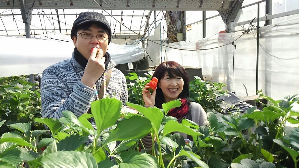 イチゴ狩りパートⅡ_a0169121_19395669.jpg