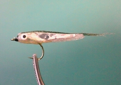 b0259124_012017.jpg