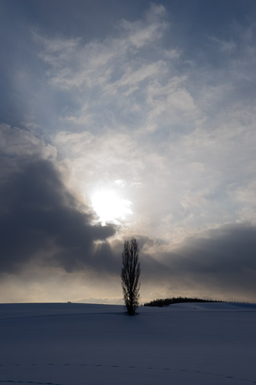 雪景色、再び。_e0025030_2159515.jpg