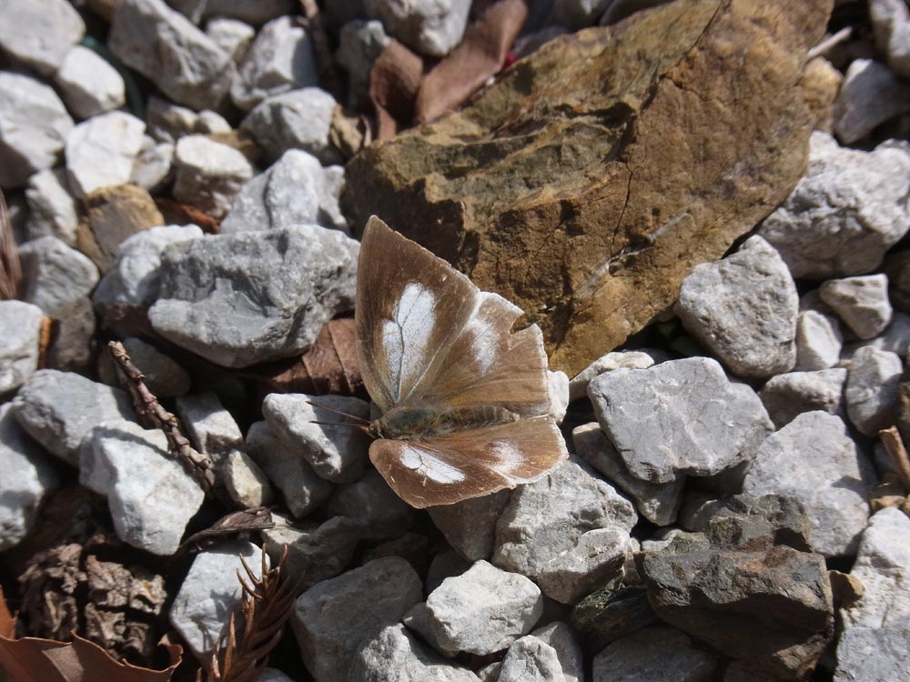 c0306638_2155860.jpg