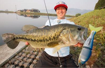 吉田撃 DVDセット 取り寄せ商品】【DVD】釣りビジョン 吉田撃/ランガン