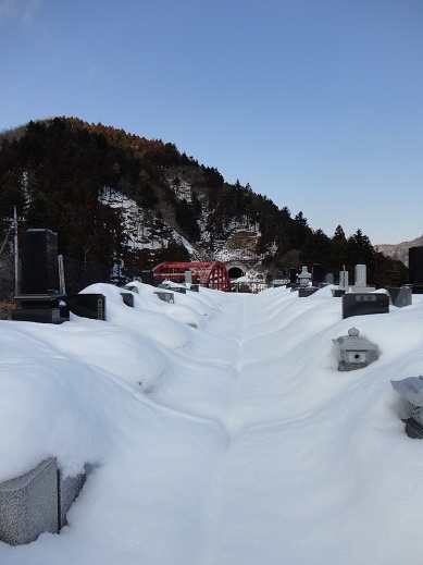 e0201748_8154158.jpg