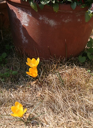 e0126350_0141968.jpg