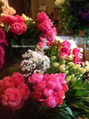 友人の花屋さん Har Flower Plants