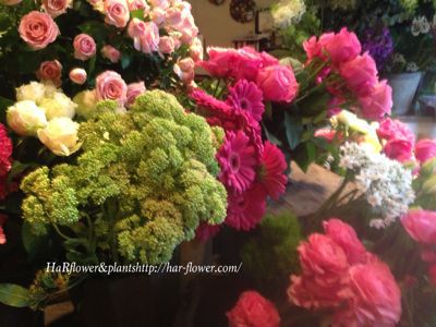 友人の花屋さん Har Flower Plants