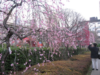 f0006356_17202734.jpg