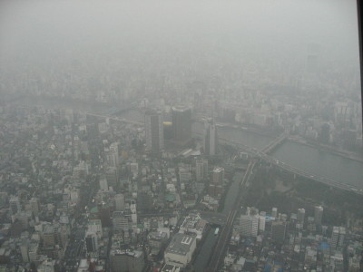 f0006356_17205561.jpg