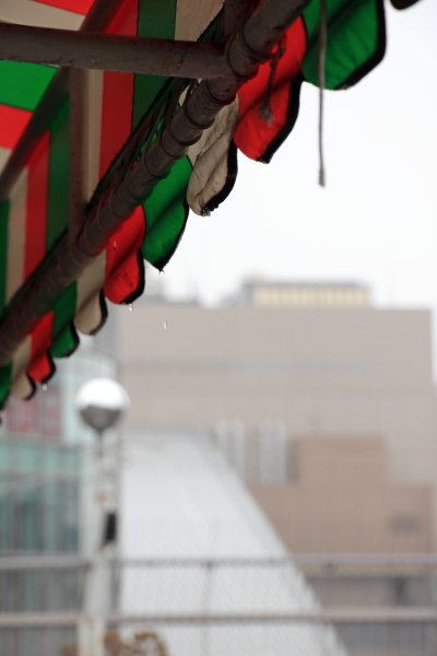 c0272958_027426.jpg